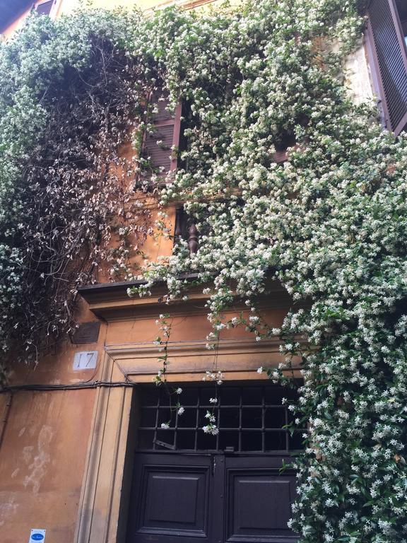 Mgpgroup Guest House Navona 2 罗马 外观 照片